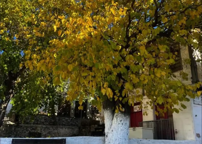 Tatil Evi Christina's Village